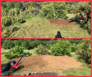 Photo de galerie - Paysagiste - Aménagement du jardin