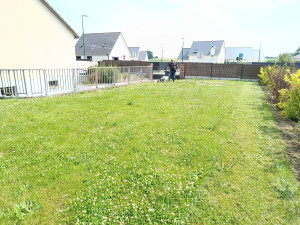 Photo de galerie - Tonte de pelouse - Débroussaillage