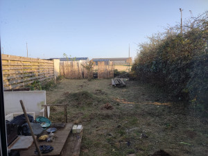 Photo de galerie - Tonte de pelouse - Débroussaillage