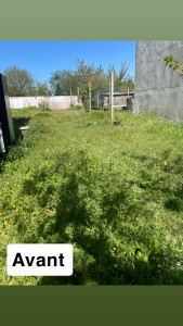 Photo de galerie - Tonte de pelouse - Débroussaillage