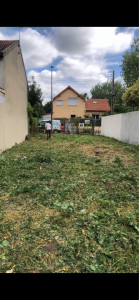 Photo de galerie - Elagage et coupe d'arbres