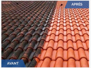 Photo de galerie - Nettoyage toiture haute pression