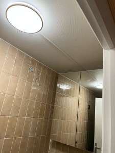 Photo de galerie - Installation électrique pour un luminaire dans une salle de bain 