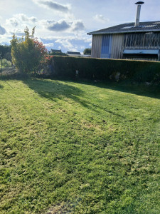 Photo de galerie - Entretien de jardin