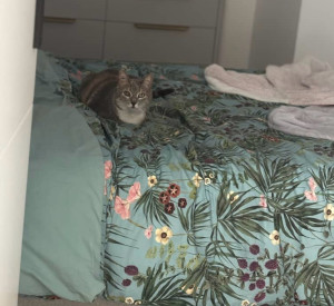 Photo de galerie - Garde de Myrtha 