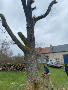 Photo de galerie - Jardin / Espace vert