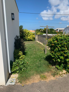 Photo de galerie - Tonte de pelouse - Débroussaillage