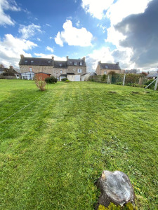 Photo de galerie - Tonte de pelouse 