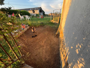 Photo de galerie - Désherbage d’une allée délaisser pendant environ 1an 