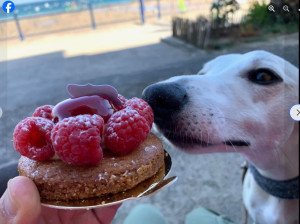 Photo de galerie - Vaîa est très sociable