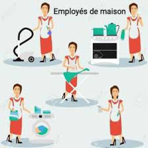 Photo de galerie - Employée de maison (ménage repassage)