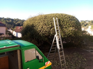 Photo de galerie - Jardinier