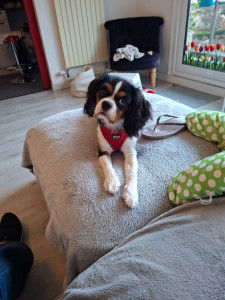 Photo de galerie - Janvier 2026