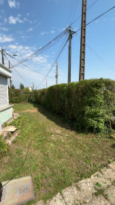 Photo de galerie - Taille de haies et d'arbustes