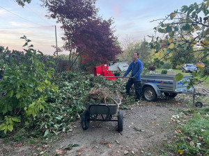 Photo de galerie - Taille de haies et d'arbustes