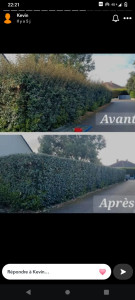 Photo de galerie - Taille de haies et d'arbustes