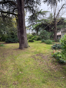 Photo de galerie - Tonte et débroussaillage, contrat mensuel.