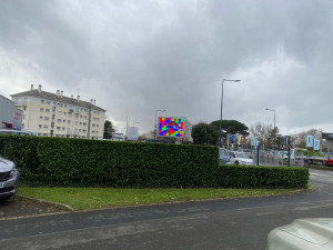 Photo de galerie - Taille de haies et d'arbustes