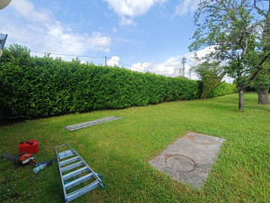 Photo de galerie - Taille de haies et d'arbustes