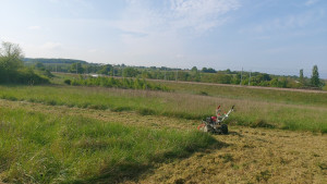 Photo de galerie - Tondeuse débrousailleuse 