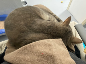 Photo de galerie - Câlin spontané 