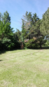 Photo de galerie - Entretien de jardin 