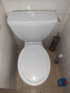 Photo de galerie - Pose de wc