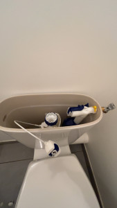 Photo de galerie - Remplacement d’un mécanisme wc défectueux (après)