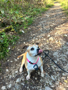 Photo de galerie - .