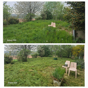 Photo de galerie - Tonte de pelouse - Débroussaillage