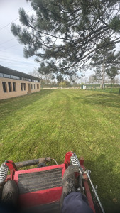 Photo de galerie - Tonte de pelouse 