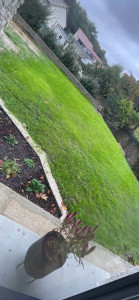 Photo de galerie - Tonte 