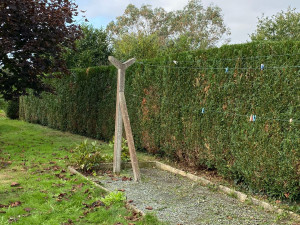 Photo de galerie - Haie