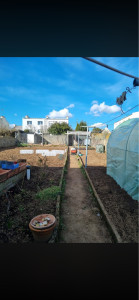 Photo de galerie - Remise en forme d’un jardin pour un potager 