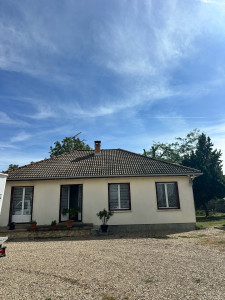 Photo de galerie - Élagage de 2 acacias 