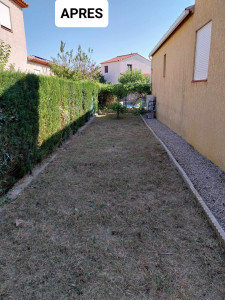 Photo de galerie - Débroussaillage d'un jardin