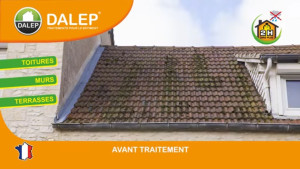 Photo de galerie - Traitement de toiture 