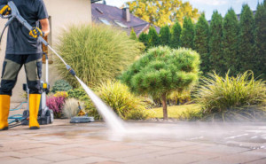 Photo de galerie - Multiservice ... 