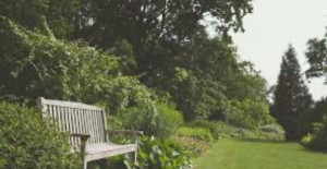 Photo de galerie - Jardin tondu 