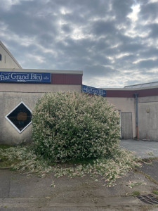 Photo de galerie - Grande taille 