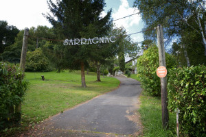 Photo de galerie - Tonte de pelouse - Débroussaillage