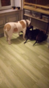 Photo de galerie - C'est juste une question d'éducation 