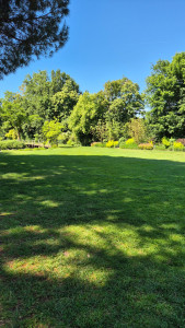 Photo de galerie - Entretien espace verts 