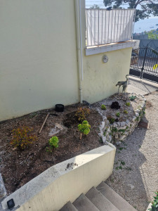 Photo de galerie - Paysagiste - Aménagement du jardin