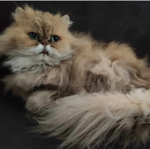 Photo de galerie - J'ai gardé 