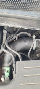 Photo de galerie - Remplacement durit de turbo