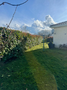 Photo de galerie - Taille de haie hivernale