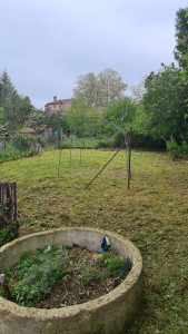 Photo de galerie - Débroussaillage d'un potager abandonné.

