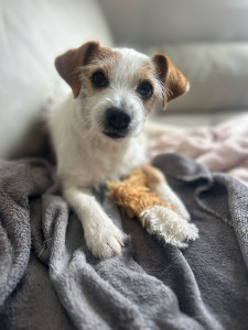 Photo de galerie - Savannah 