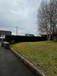 Photo de galerie - Elagage et coupe d'arbres